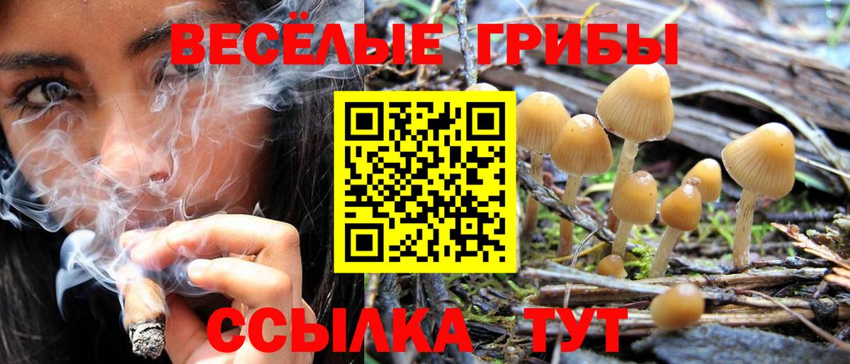 Псилоцибиновые грибы Psilocybine cubensis  Псилоцибиновые грибы GOLDEN TEACHER  Лангепас  Вход с VPN 